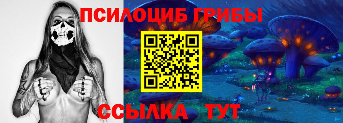 Псилоцибиновые грибы Psilocybe Семилуки